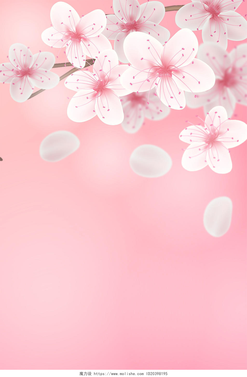 粉色缤纷春天唯美浪漫樱花花瓣春暖花开春季背景素材